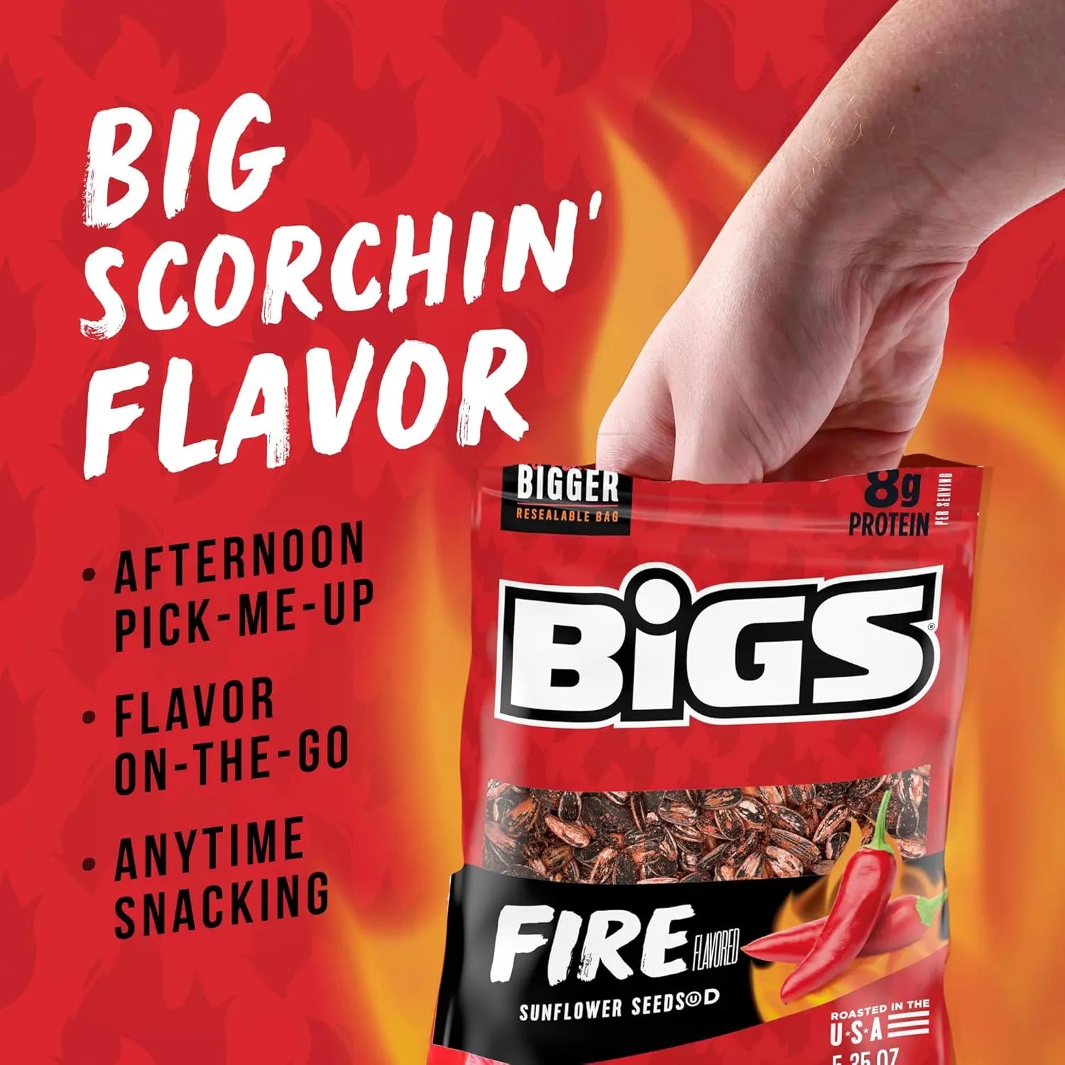 BiGS | Sunflower Seeds - Fire - SHACK à SAUCE