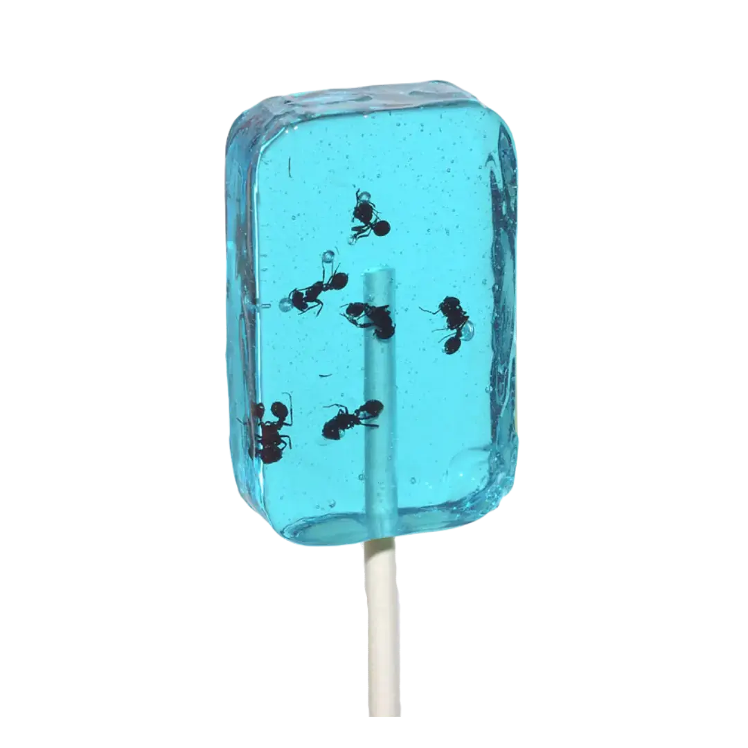 Hotlix | Ant-lix Suckers - Blueberry Shack à Sauce