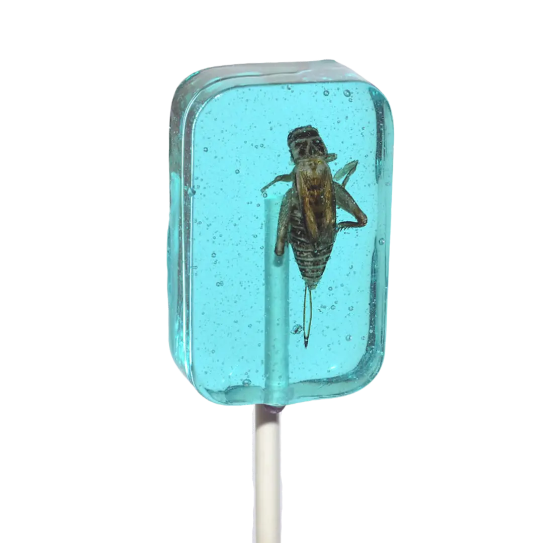 Hotlix | Cricket Lickit Suckers - Blueberry Shack à Sauce