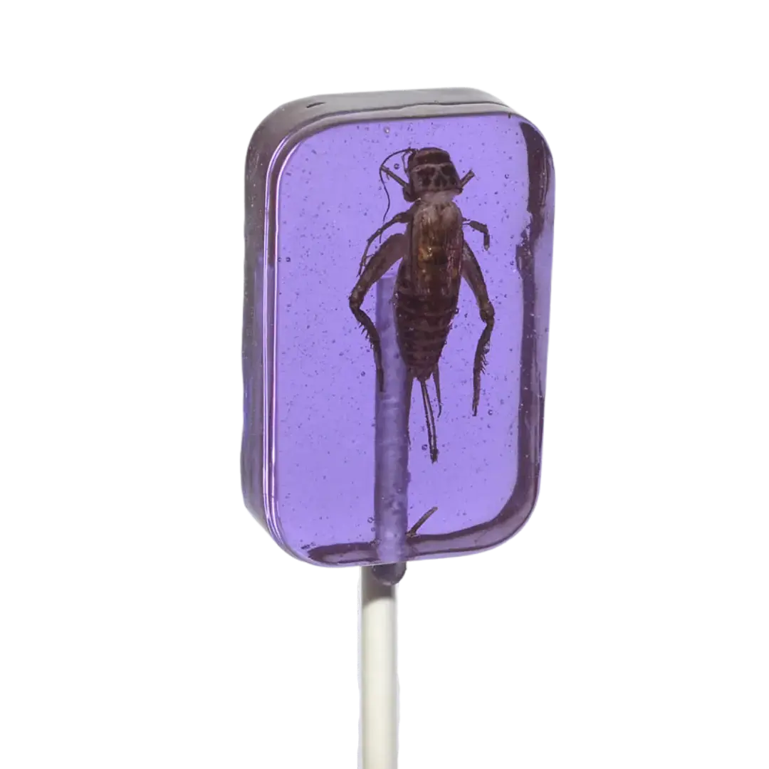 Hotlix | Cricket Lickit Suckers - Grape Shack à Sauce